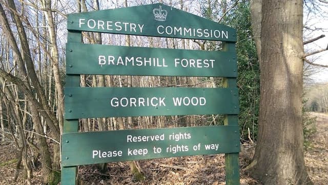 Bramshill Plantation — Conifer plantation in Surrey area