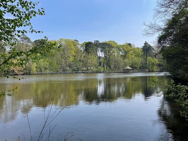 Tilgate Forest — Heathland in Near Rudgwick, photo 2 of 2