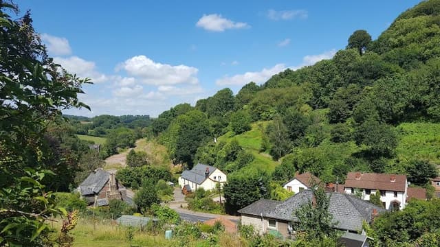 Forest of Dean — Ancient woodland in Forest of Dean, photo 1 of 2