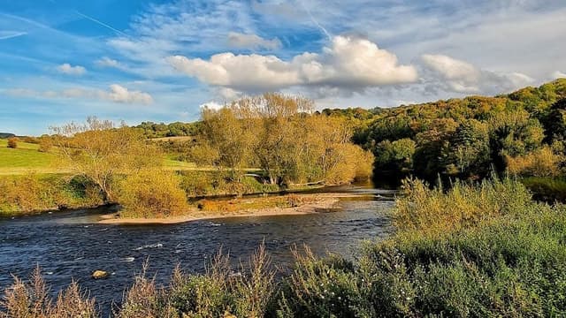 Forest of Dean — Ancient woodland in Forest of Dean, photo 2 of 2